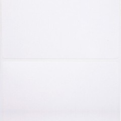 ZEBRA / ELTRON 4×2.5 (4″ x 2-1/2″) Direct Thermal Labels – (1) Roll of 620