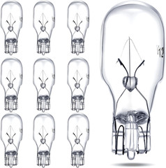 T5 Landscape Light Bulbs 12 Volt 18 Watt Landscape Bulbs Low Voltage Light Small