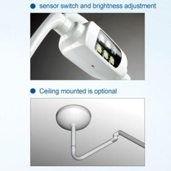 Ceiling-mounted Dental Oral Light Surgical Operating Lamp 6 LED with Arm US