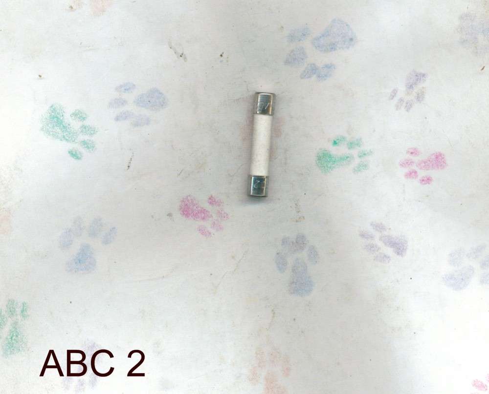 NEW BUSSMAN ABC2 FUSE 2 AMP 250 V0LT ABC 2 FUSE