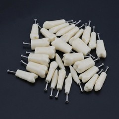 US Kilgore Nissin 200/500 Type Dental Typodont Model Removable Teeth & Screws
