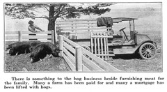 IH International Harvester Farm Prosperity Guaranteed Farm Literature Truck Crop