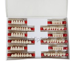 Acrylic Synthetic Resin Denture Teeth Vita Color Shade A2/A3 Upper Lower -84Pcs