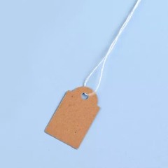 500/1000x Garage Sale Price Tag Size #5 Blank Merchandise Hang String Strung US