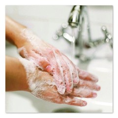 Dial Professional 82839 1 L Liquid Hand Soap Refill – Floral (8/CT) New
