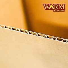 WF 18x18x18 Corrugated Shipping Boxes Cardboard Paper Boxes Shipping Box (25 Ct)