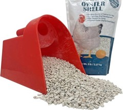 Pecking Order Oyster Shell – Calcium Supplement to 5 Pound (Pack of 1)