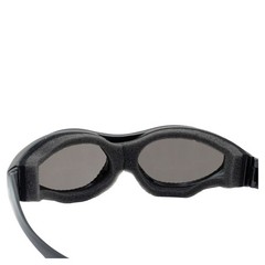 Birdz Eyewear Phoenix Goggles 3 Sets of lenses PLUS Prescription RX-able insert