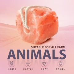 Himalayan Salt Animal Wellness Lick on A Rope 6.5-8 lbs. 100% Natural Pure Salt