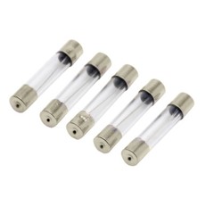 [10x] 1A 250V Fast Blow Fuse Glass Tube Fuse 1 Amp Fuse 6X30mm