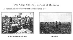 IH International Harvester Farm Prosperity Guaranteed Farm Literature Truck Crop