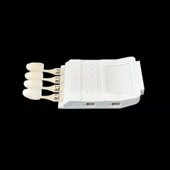 Dental Bleach Shade Guide BL1 4Colors Bleached Chart Teeth Based Vita US STOCK