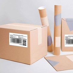 20Rolls 62mmx100mm DK-1202 Shipping Name Badge Labels Fit for Brother QL-1060N