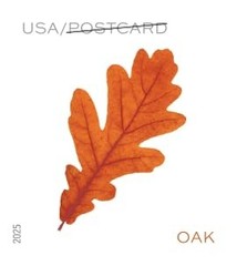 United States Postal Service Vibrant Leaves 2025 Postcard Rate 2 Sheets Of 20