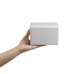 White Shipping Boxes 6x4x4 Inches Small Corrugated Cardboard Boxes, 25 Pack