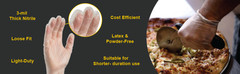 GLOVEPLUS Industrial Clear Vinyl Gloves, Latex Free, Powder Free, Food Safe,