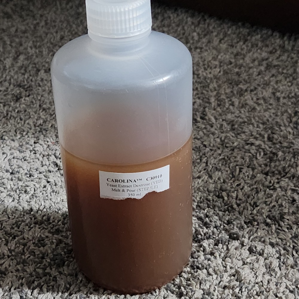 Carolina C30910 Yeast Extract Dextrose YED 350ml. Melt Pour Sterile Science Lab