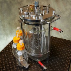 4L Sartorius-Type Jacketed Double Wall Glass Bioreactor Fermenter Vessel
