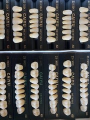 3 Complete Sets Acrylic Denture Teeth A1 A2 A3 A3.5 S M L X-L 84 In BOX