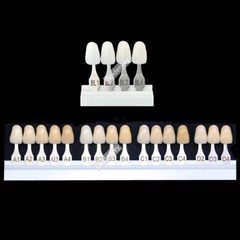 Dental A-D Shade Guide Bleach Teeth Natural Die Porcelain Custom Ivoclar Type US