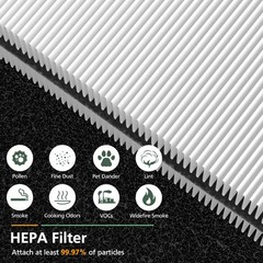 2 Pack Mini Max Replacement 8.9 x x 5.9 inches, 2 Filter
