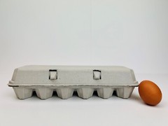 Non-Printed Egg Carton – 100 units