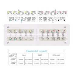 10pcs Dental Orthodontic Anterior Teeth Torque Rectangular Springs Closed Coil