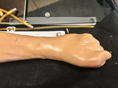 Gaumard Right Handed Training Arm Manikin