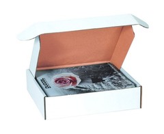 Box USA 12″ Deluxe Shipping Boxes 12″L x 12″W x 4″H, 50-Pack – White Box Mail…