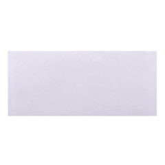 Peel and Stick Closure White Envelopes Privacy Tinted 250-Count 4.13″ X 9.5″