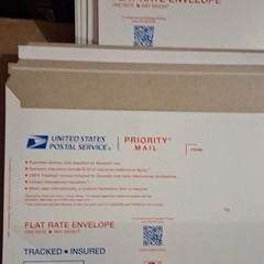 United States Postal Service Flat Rate Envelope EP14F Lot of 300