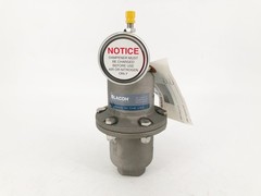 New Blacoh CTS1020B Pulsation Dampener 1/2″ FNPT 300psi – No Box