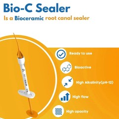 Angelus Dental BIO C SEALER 0.5g Syringe Bioceramic RCT Selaer