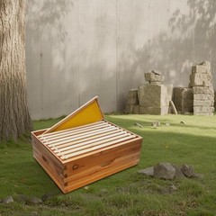 ⏯10-Frame Medium Super Bee Box Wax Coated Bee Hives Beehives Frame Wax Foundatio