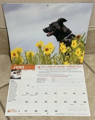 2027 Best Friends ‘Save Them All’ Wall Calendar ~ 10 7/8 x 8.5 ~New