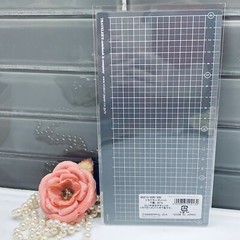 2015, 2016, 2017, 2018 Traveler’s Factory LIMITED EDITION Plastic Sheet (RARE)