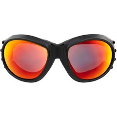 Birdz Eyewear Red Baron Motorcycle Aviator Goggles Black Padded Frame Clear