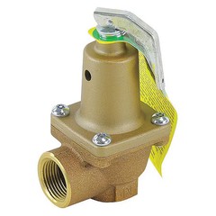 Watts 0369010 Backflow Check Valve, 1700000 Btu, 125 Psi