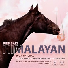 Himalayan Salt Animal Wellness Lick on A Rope 6.5-8 lbs. 100% Natural Pure Salt