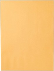 20 Pack Classic Brown Kraft 9″ x 12″ Envelopes with Clasp Closure – Made in USA