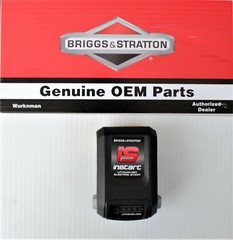 Genuine OEM Briggs & Stratton 593559 now 597187 replacement battery