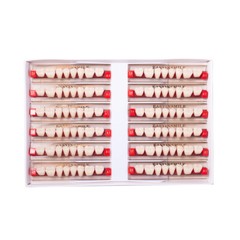 Dental False Teeth At Home Tooth Replacement Acrylic Resin Teeth Shade A1/A2/A3