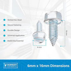 License Plate Screws – Slotted Hex Head – Metric – 6 Millimeter X 16 Millimeter