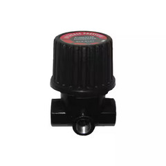 1/4 In. NPT Inlet/Outlet X 1/8 In. NPT Gauge Pressure Regulator