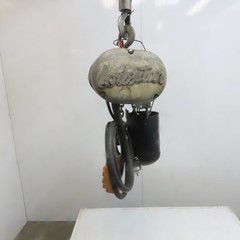 Lodestar Model A 1/8 Ton Electric Chain Hoist 10′ Lift 32FPM 115V 1Ph