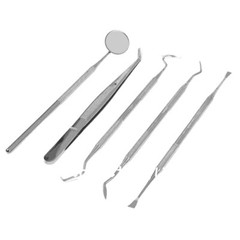 Dental Set Dentist Teeth Oral Clean Probe Tweezers Stainless Steel Tools Choose