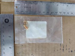 BISS ELECTRONICS SEALECTRO 2228850-B-8905 051-043-0000-220