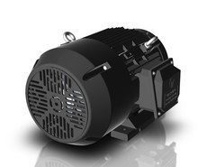 Techtop GR3-CI-TF-286TC-4-BR-D-30 Motor 30 HP 1800 Rpm 3-PH 230/460 Volt 286TC