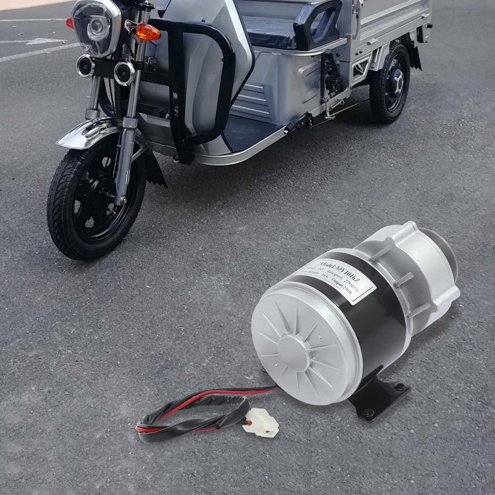 Brushed Motor Gear Reduction Electric Motor Gear Motor w/ Belt Pulley 24VDC 250W