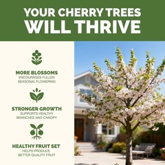 Cherry Tree Fertilizer Liquid Plant Food More Blossoms Better Fruit Set